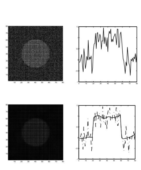Figure 42. En haut à gauche, image bruitée (30%), à droite, vue d’une coupe. Figures du bas, après analyse euclidienne (EMSS - 6 voisins) pour dt=0.1 et 100 itérations.