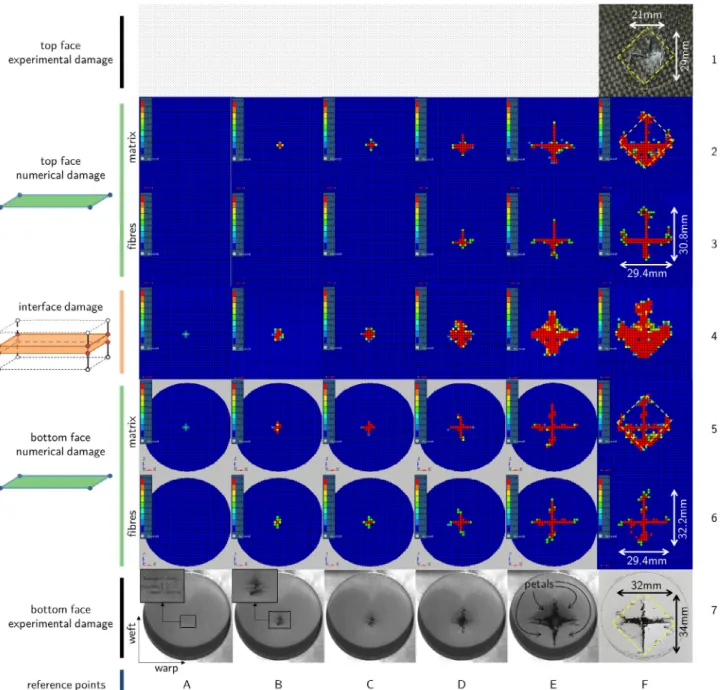 Fig. 9. Experimental (lines 1&amp;7) and numerical (lines 2–6) damage evolutions during the normal drop weight impact test at different values of the impactor displacement: