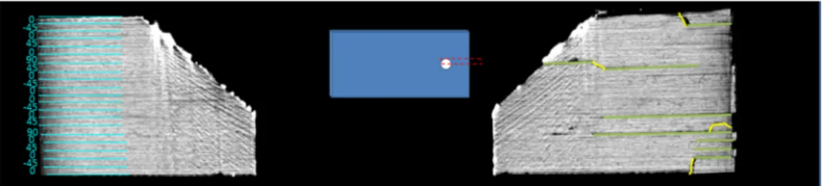 Fig. 6. Slice of the mid plane of composite plate with e = 12 mm.