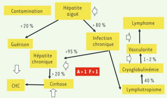 Figure 1.  Histoire naturelle de l’infection virale C.  Les  flèches blanches indiquent les actions thérapeutiques  potentielles