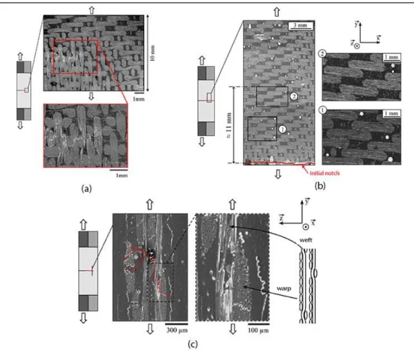 Figure 4: Micrographic views in notch tip obtained under SEM [Garcia, 2013] 