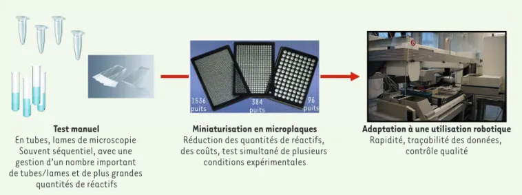 Figure 3. Schéma des étapes de l’adaptation d’un test manuel au format de microplaques (96, 384 ou 1536 puits) pour son exécution itérative par  une plate-forme robotisée.