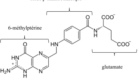 Figure 1. Structure chimique de l’acide folique 6-méthylptérine 