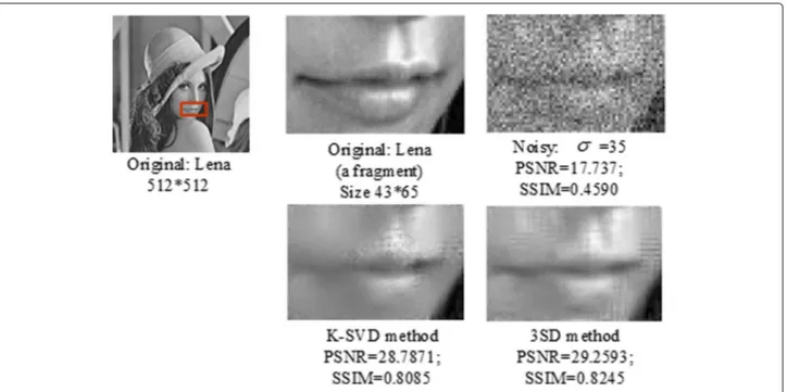 Fig. 5 Image denoising comparing the proposed 3SD method with the K-SVD method