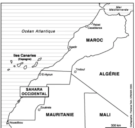 Figure 1 : Le Sahara Occidental