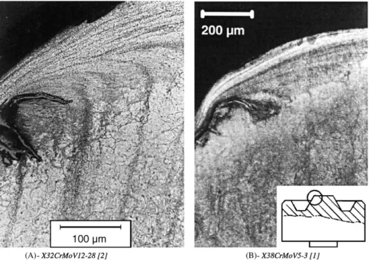 Fig. 1. Microstructure of the convex radius of different hot work tool steels after 1000 forging cycles
