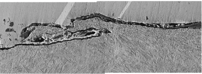 Fig. 9. Back of the wear track of the pin after the test at 950 ◦ C (42 HRC).