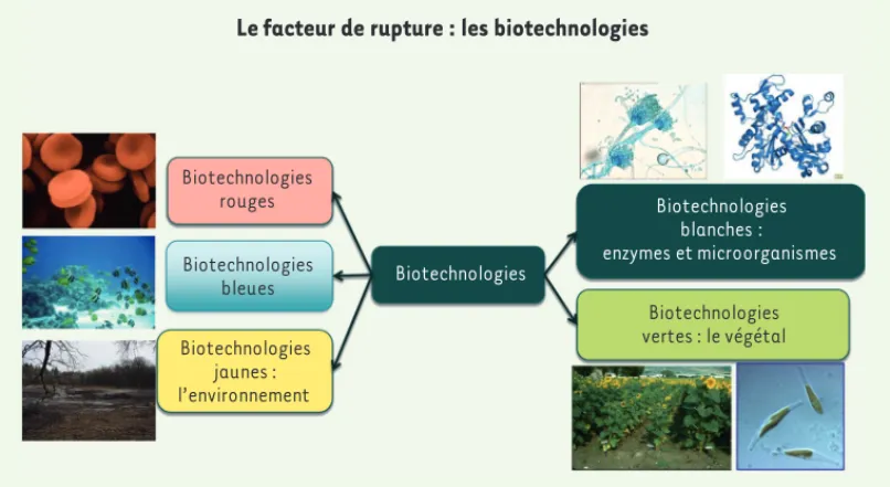 Figure 1. Les biotechnolo- biotechnolo-gies. © Avec l’aimable  auto-risation de Paul Colonna.