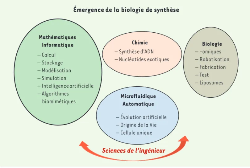 Figure 2.  La biologie de  synthèse est à la frontière  de plusieurs disciplines et  s’appuie sur les sciences  de l’ingénieur