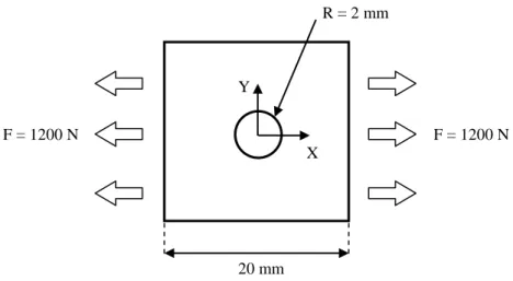 Figure 2. Simulated experiment specimen geometry and the material orientation  axes. 