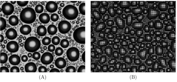 Figure 2-A shows the spherical droplets growing on a flat surface, while figure 2-B shows the ellipsoidal droplets on a micro-pillared substrate