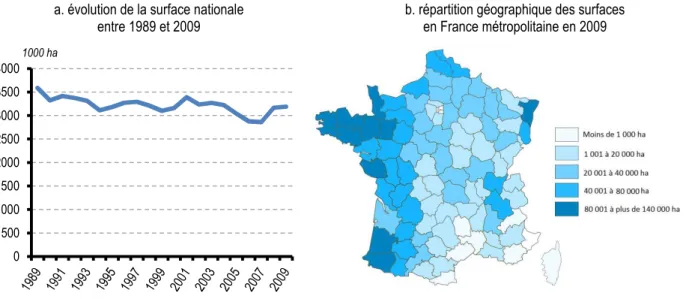 Figure 1-1. Surface cultivée en maïs en France, entre 1989 et 2009  a. évolution de la surface nationale  