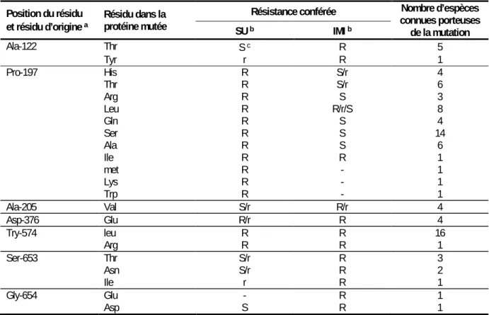 Tableau 2-1. Mutations courantes de l’ALS et phénotype de résistance associé (Powles et Yu, 2010)  Position du résidu 