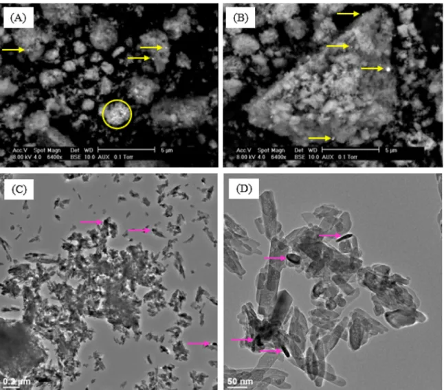 Fig. 2. SEM (A, B) and TEM (C, D) images of Ru/HAP CEX; yellow and pink arrows: Ru-based particles; yellow circle: Ru-based agglomerate
