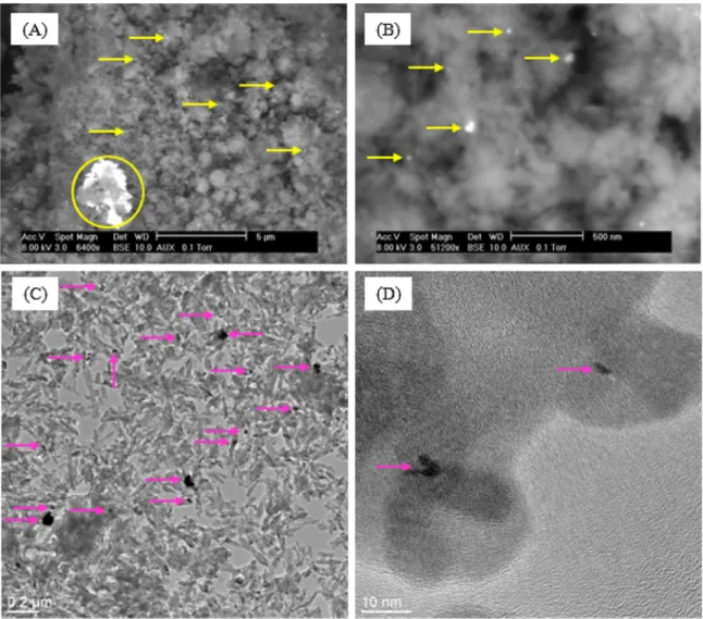 Fig. 5. SEM (A, B) and TEM (C, D) images of Pt/HAP LIM; yellow and pink arrows: Pt-based particles; yellow circle: Pt-based agglomerate