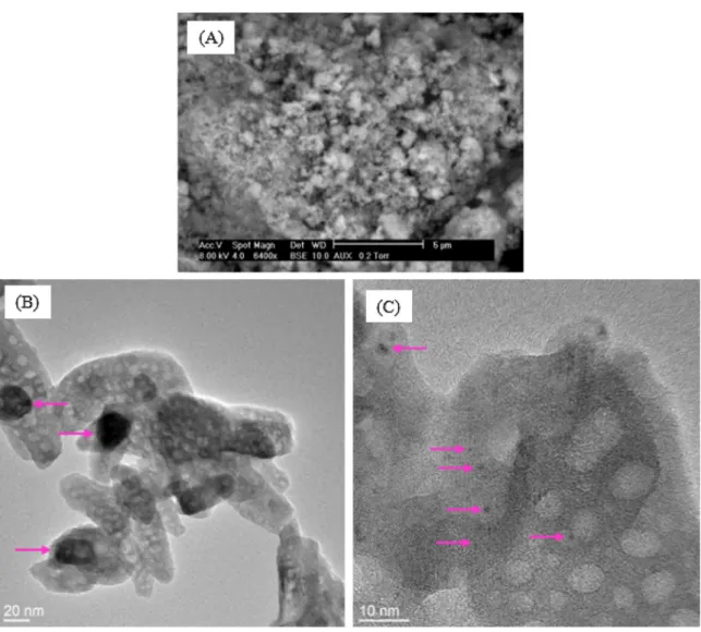 Fig. 7. SEM (A) and TEM (B, C) images of Pt/HAP IWI; pink arrows: Pt-based particles. (For interpretation of the references to color in this figure legend, the reader is referred to the web version of this article.)