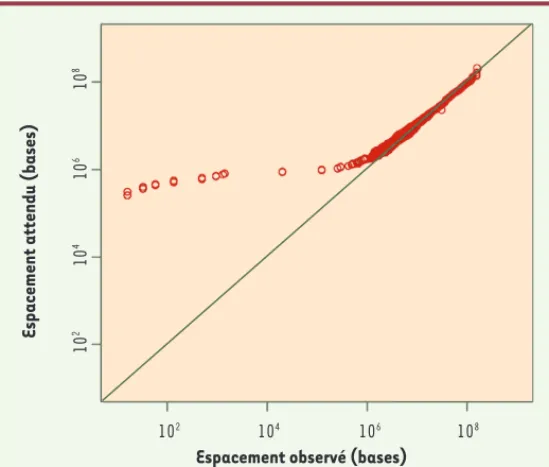 Figure 1. Distribution attendue (ordonnée) et observée (abscisse) des distances  entre DNM au sein de chaque génome séquencé (nombre de bases, en échelle  logarithmique) (extrait redessiné de la figure 2 de [1]).