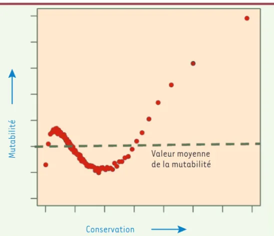Figure 2. Corrélation entre mutabilité et conservation au sein du génome (unités  arbitraires, échelle linéaire) (extrait partiel et redessiné de la figure 6 de [1]).