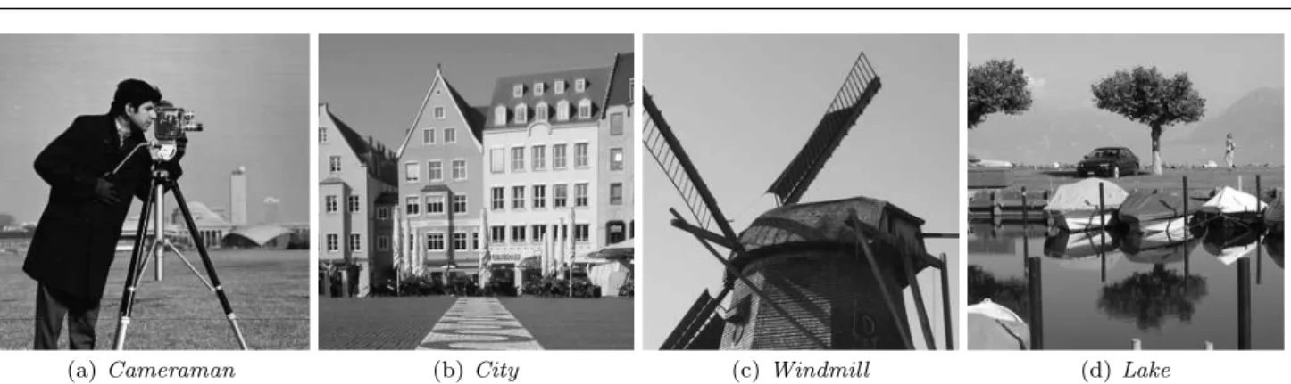 Fig. 6 Chosen 256 × 256 noise-free images for our experiments, from left to right: cameraman, city, windmill and lake