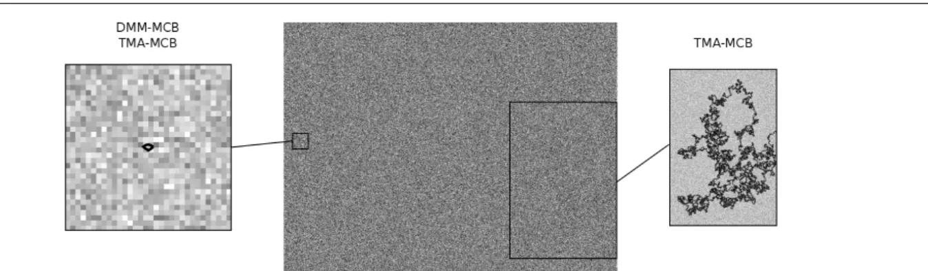 Fig. 4 There are 4845004 level lines in the center image of a Gaussian noise with standard deviation 50