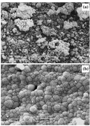 Fig. 2 SEM photographs of HA dried at 105 ! C (a) and calcined at