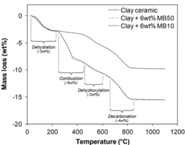 Fig. 3. Mass loss of the clay ceramic and of the clay ceramic with a 6%