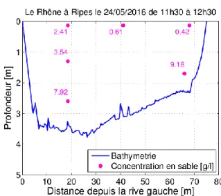 Figure 3 : Le Rhône à Rippes, concentration en MES totale  le 24 mai 