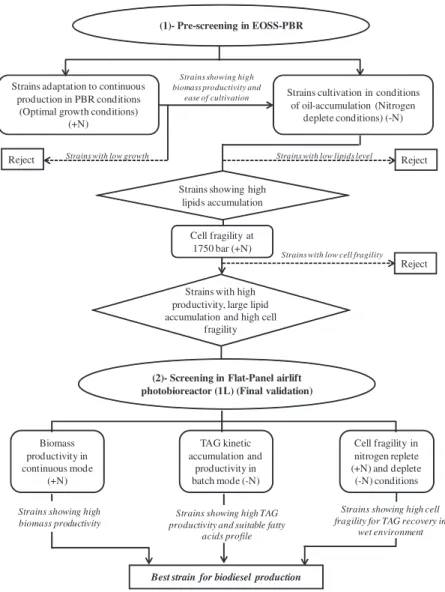 Fig. 1. Schematic illustrating the global screening procedure.