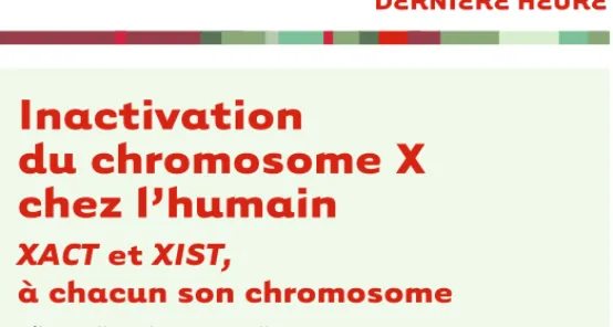 Figure 1.  Mise en place  de l’inactivation du  chro-mosome X chez la  sou-ris et chez l’humain