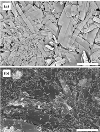 Fig. 10 SEM images of Ca-HA synthesized at 80 ! C under CO 2