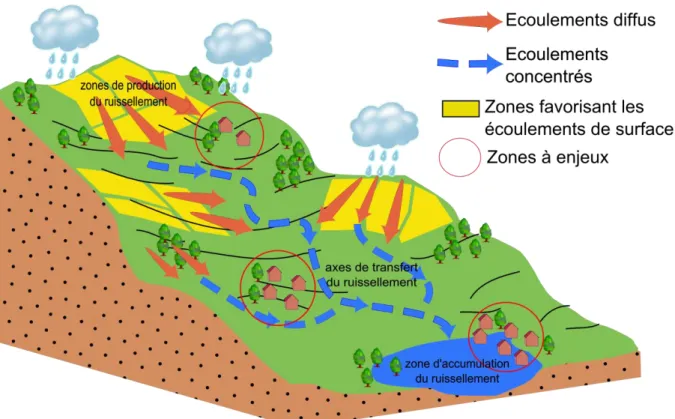 Figure 6 : Illustration des zones de production, de transfert et d’accumulation du ruissellement à  l’échelle d’un bassin versant