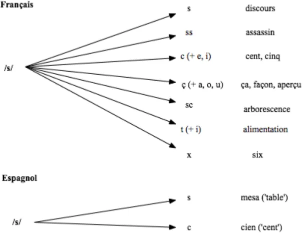 Figure  1  –  llustration  de  l'opacité  de  l'orthographe  du  français  par  comparaison  avec  l'espagnol : le cas du phonème /s/ 