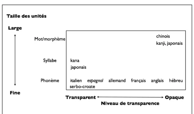 Figure  2  –  Niveau  de  transparence  des  principales  langues  écrites  (adapté  de  Ferrand  2001: 19) 8