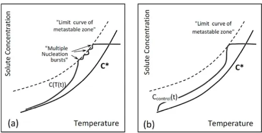 Figure 1. Schematic representation of the effect of excessive cooling rate on the development of cooling  crystallization, after Griffiths 5,13  (a) Uncontrolled cooling (b) Controlled cooling leading to limited nucleation  events during the crystallizatio