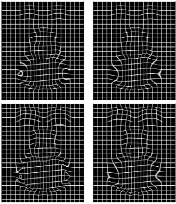 Fig. 14 Singularity removal with LEPTs. A 3D regular grid is de- de-formed with the locally affine transformation obtained with the  algo-rithm of [6, 7], two different axial slices are displayed on top and  bot-tom