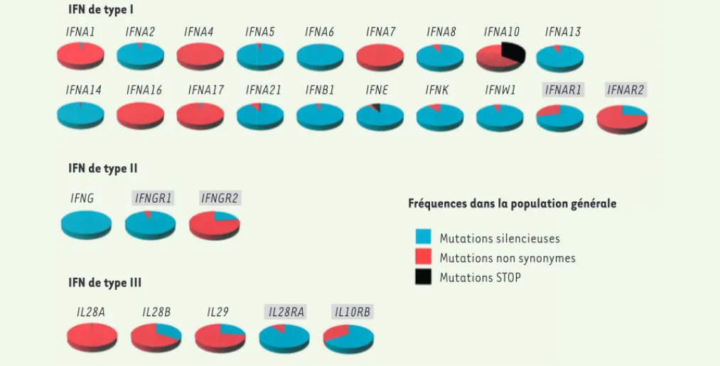 Figure 3. Variabilité fonctionnelle des membres des différentes familles d’IFN. Proportion de chromosomes porteurs d’au moins un variant non  synonyme ou STOP dans la population générale