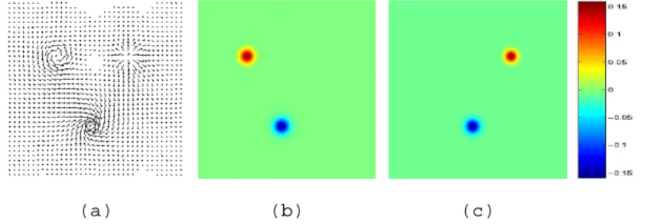 Figure 4: Result with known initial positions of the particles.(a) Estimated motion; (b) Esti- Esti-mated vorticity (mean absolute value =