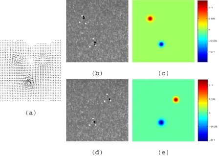 Figure 5: Result with perturbed initial positions of the particles. (a) Estimated motion field;