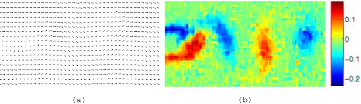 Figure 8: Result obtained by a dedicated dense method (see [13]) (a) Estimated vector field;