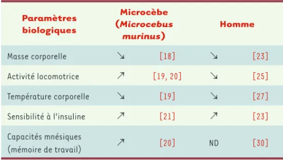 Tableau I. Effets d’une restriction calorique chez le microcèbe et chez l’homme. 