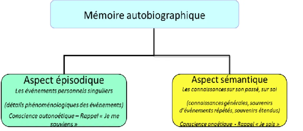 Figure 5: Aspects épisodique et sémantique de la mémoire autobiographique 