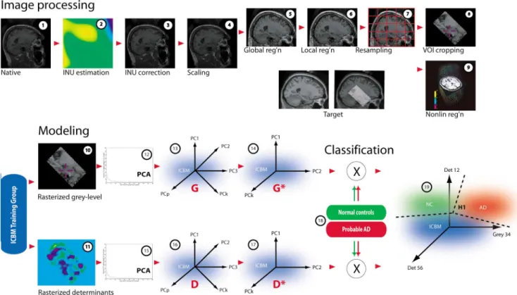 Fig. 2. Schematic representation of the automated computer classification methodology