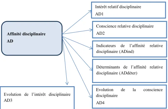 Figure 1 : Catégorie du thème « affinité disciplinaire relative (AD) » Affinité disciplinaire  