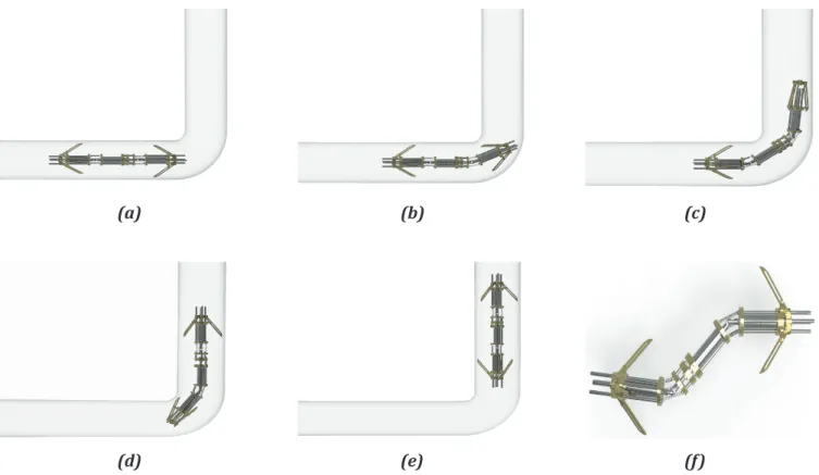 FIGURE 7 : Locomotion sequence of the optimized bio-inspired robot inside a 100 mm diameter pipe from (a) to (e) and correlation of the robot to an “Elephant trunk” (f)