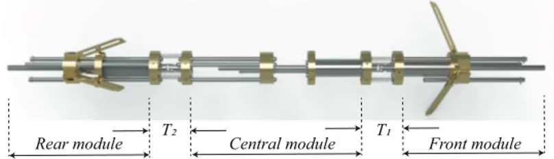 FIGURE 1 : 3D model of the existing bio-inspired robot with the tensegrity mechanisms