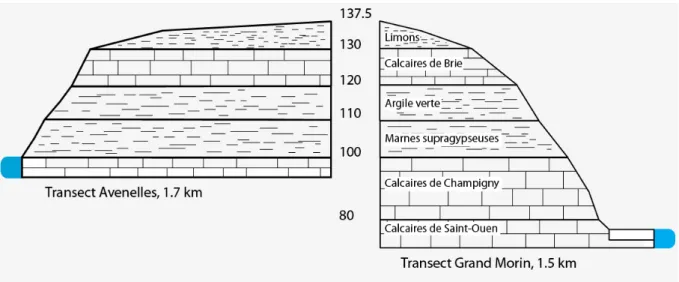 Figure 3 : Echelle stratigraphique des transects étudiés 
