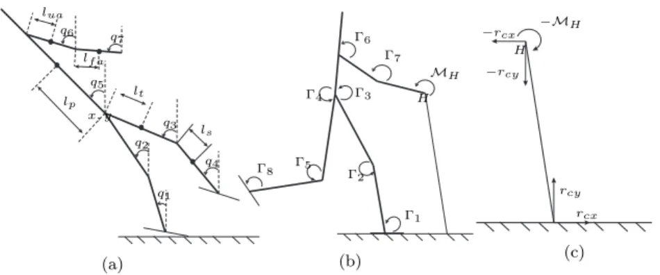 Figure 1. (a) The geometric model, generalized coordinates, and positions of the centers of mass of the links
