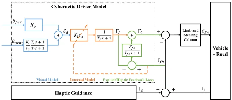 Fig. 2. Structure of the proposed cybernetic driver model. Blue: two-point visual model; orange: driver internal model; green: direct haptic feedback loop.