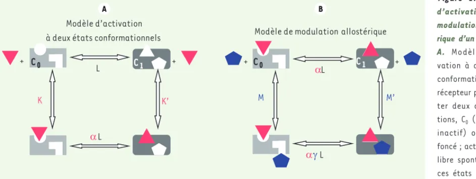 Figure 1. Modèles  d’activation et de  modulation  allosté-rique d’un récepteur. 