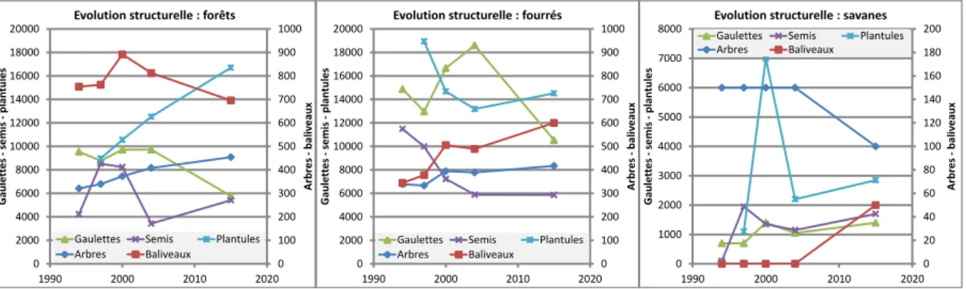 Figure  2:  Evolution  du  nombre  moyen  d'arbres  et  baliveaux  (échelle  de  droite),  gaulettes,  semis  et  plantules  (échelle  de  gauche)  par  hectare      au  cours  des  inventaires  successifs  des  placettes  permanentes  (1994,  1997,  2000,